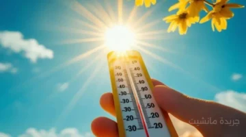مفاجأة.. طقس العراق يعود للصيف والحرارة تقفز إلى 41 درجة 1